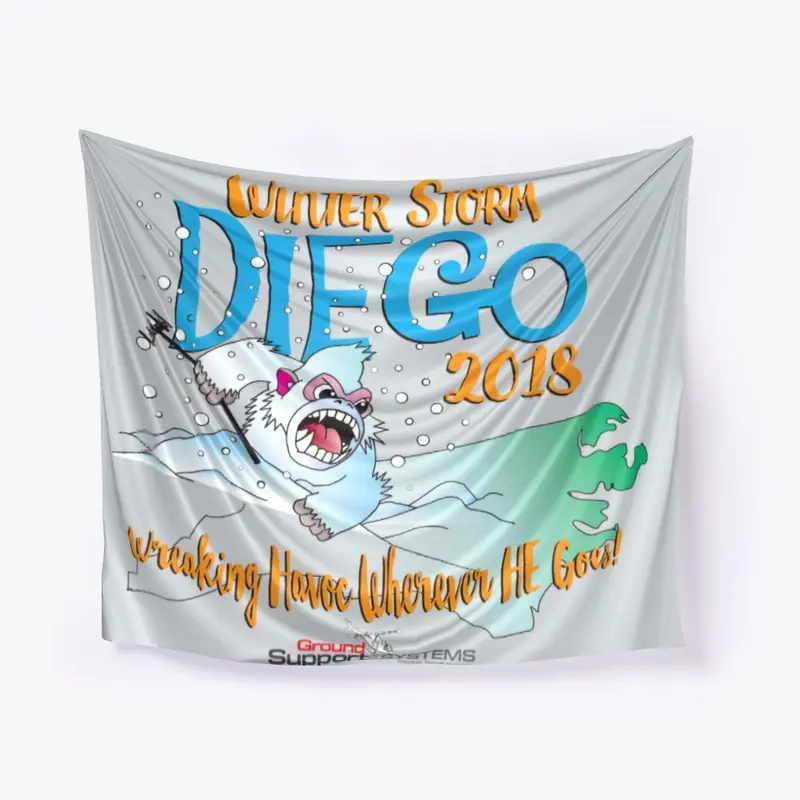 Winter Storm DIEGO 2018